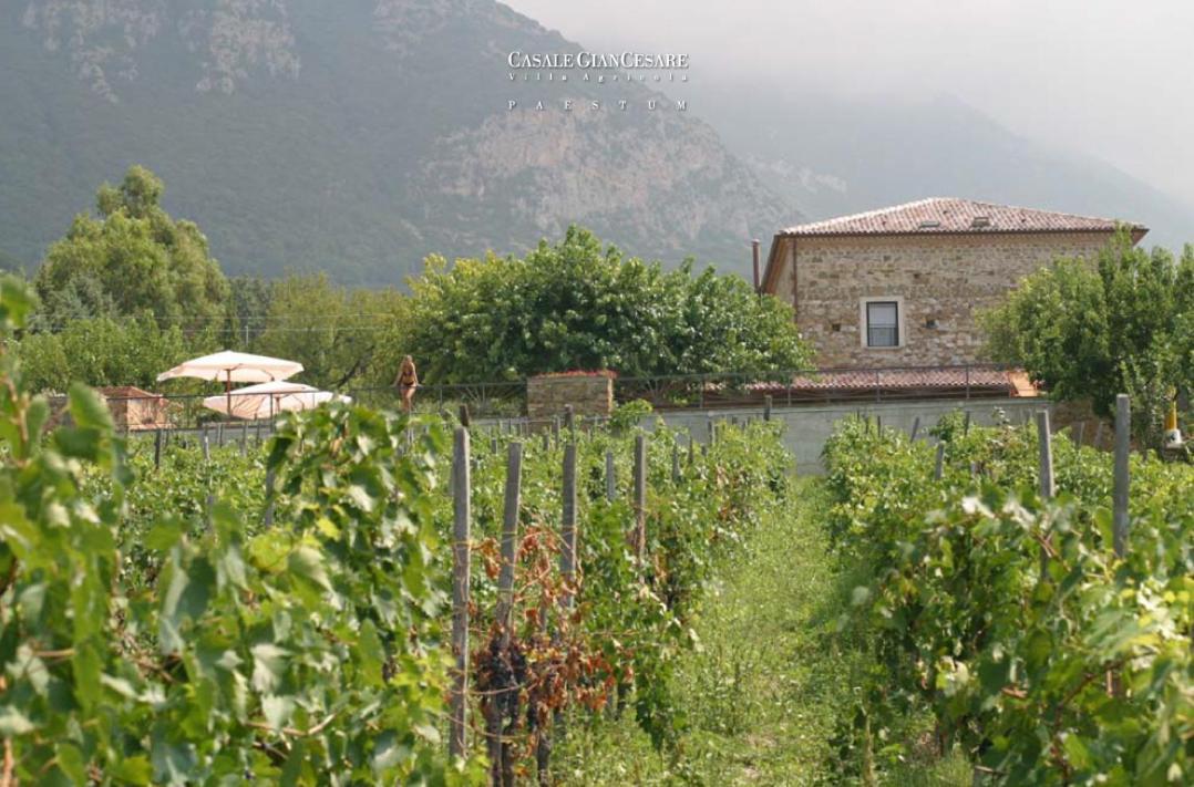 Casale Giancesare Villa Agricola Capaccio Exterior photo